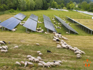 Matrix, a key feature in the exhibition Where Are We Headed?: an example of sustainable energy innovation